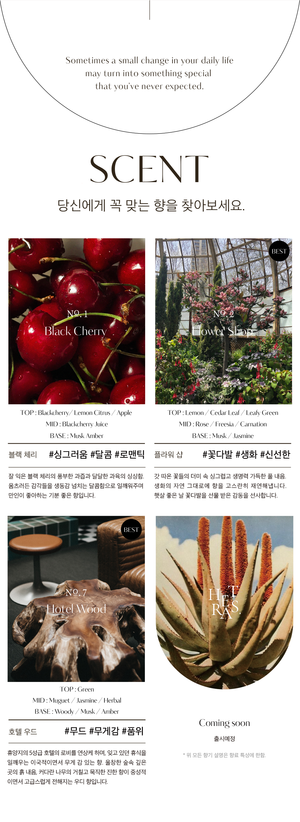 202412150951508dd1cee1908a06f