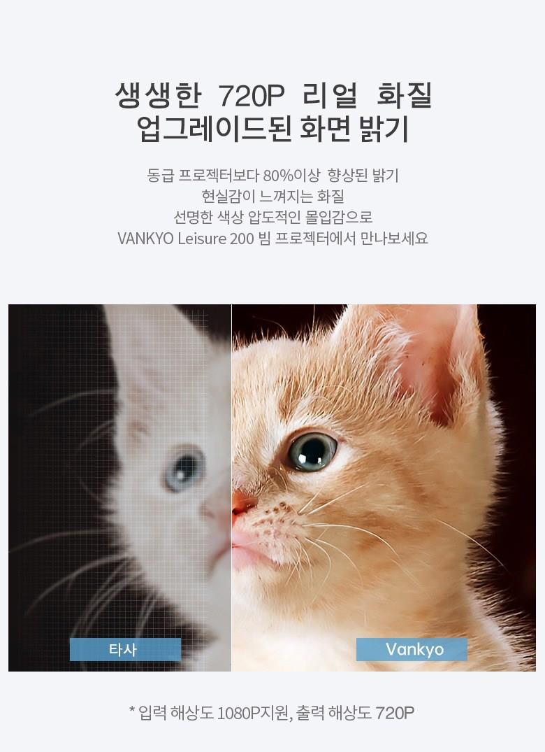 202412182222058dd1fb2686800ed