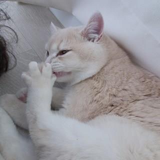 202412191153208dd2023bcbd65bb