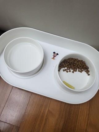 202412191354468dd2034b3b25705