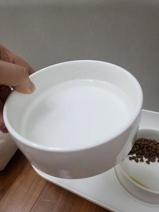 202412191354478dd2034b42cdb24