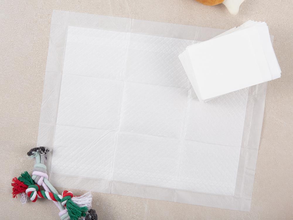 202412191455218dd203d29f69780