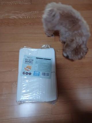 202412191455258dd203d2ca9a70d