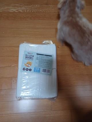 202412191455268dd203d2cda2d13