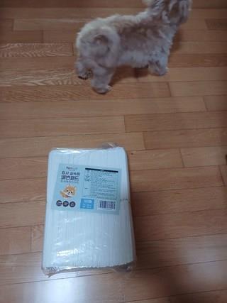 202412191455268dd203d2cf683a9