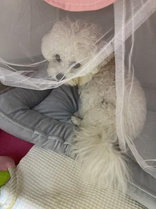 202412191556018dd2045a3d07655