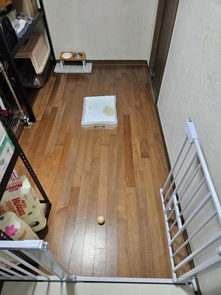 202412191656488dd204e21c05ce8