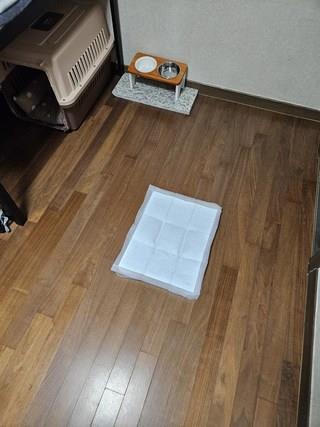 202412191656498dd204e21f8ffb1