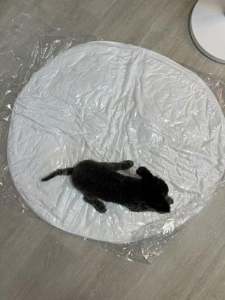 202412191757278dd20569a2b3180