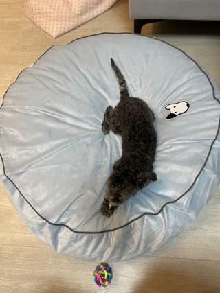 202412191757278dd20569a7ac3c3