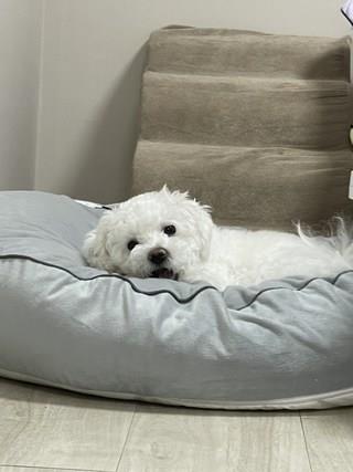 202412191757288dd20569ad0d6ed