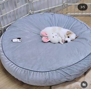 202412191757288dd20569afa5330