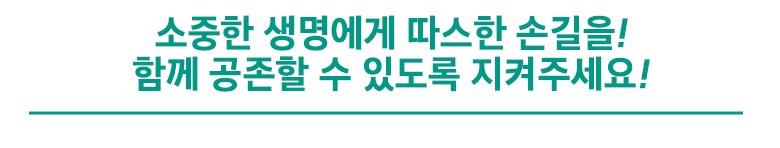 202412191858128dd205f1732091d