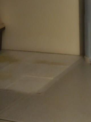 202412191958508dd20678f4fa312