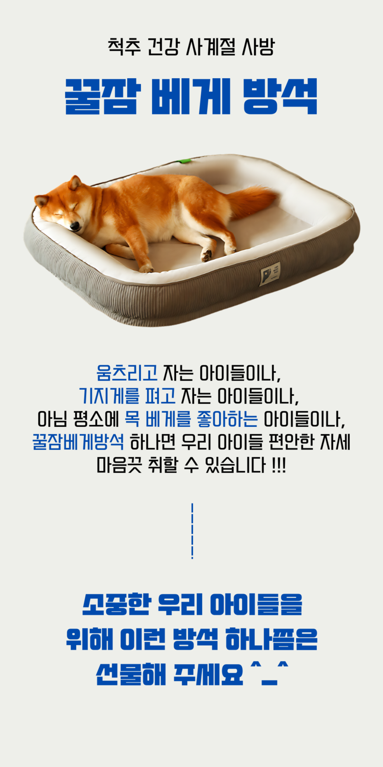 202412192200188dd20788723a815