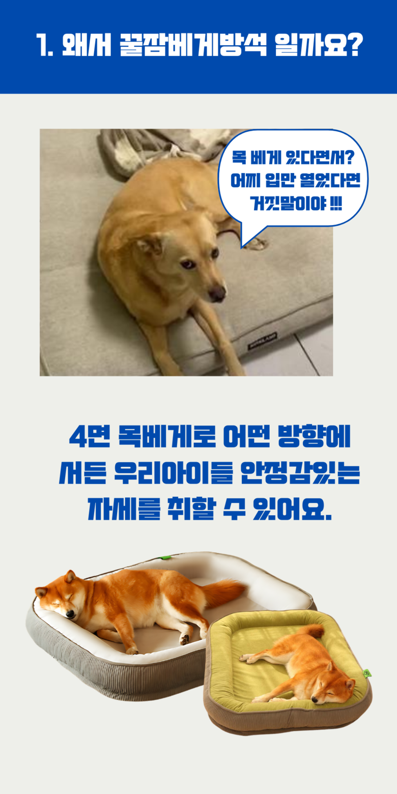 202412192200188dd2078876e5910