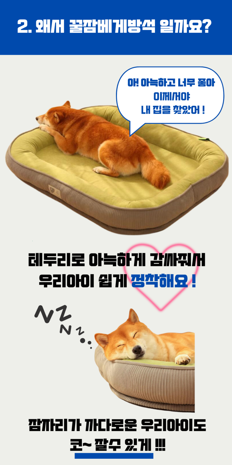 202412192200198dd207887a50c90