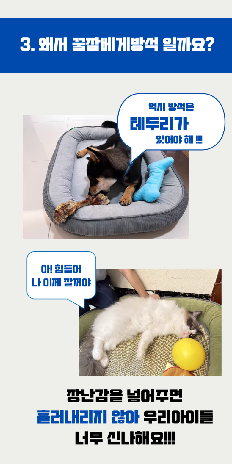 202412192200198dd207887e71a13