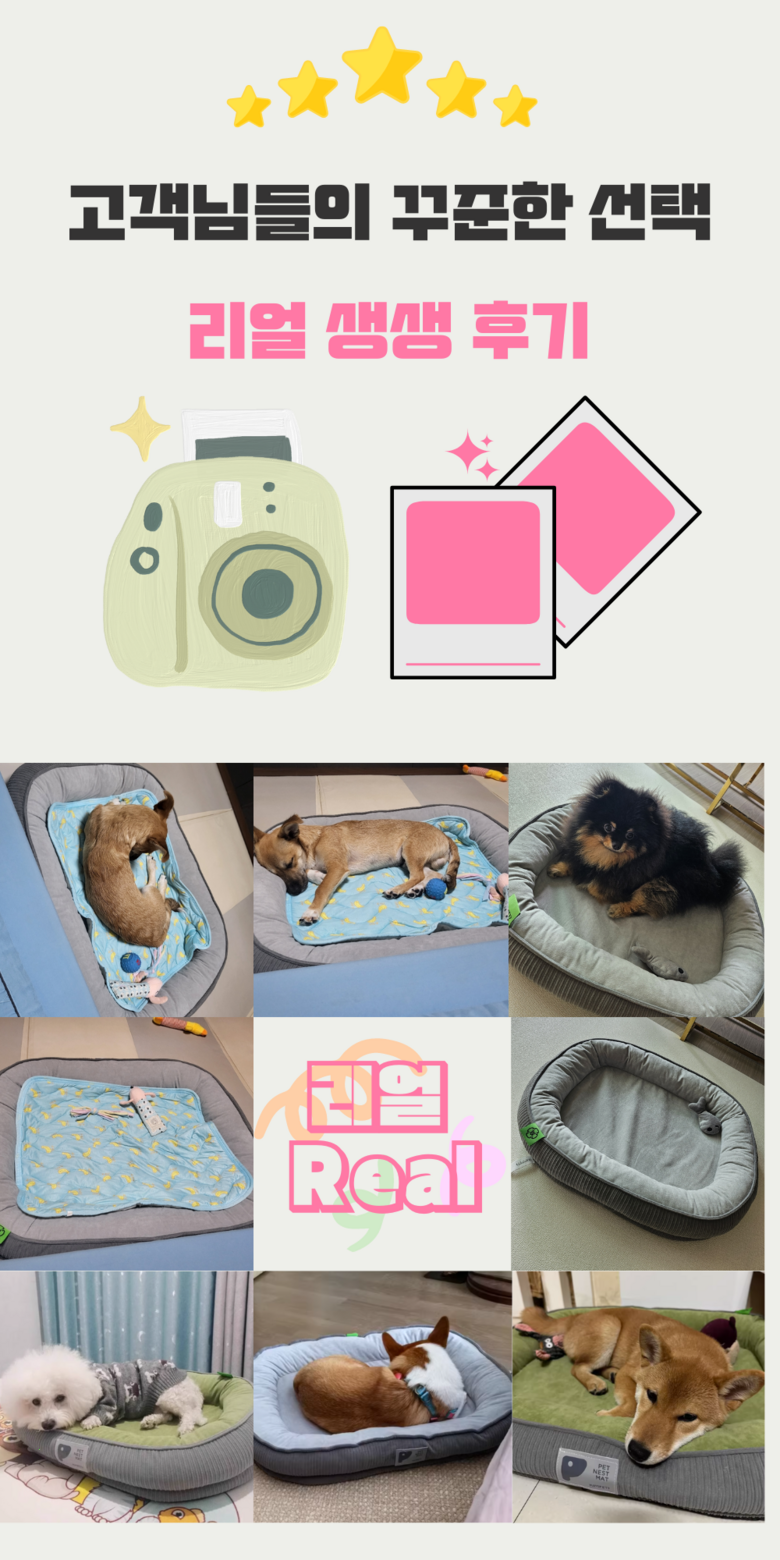 202412192200228dd207889b7a658