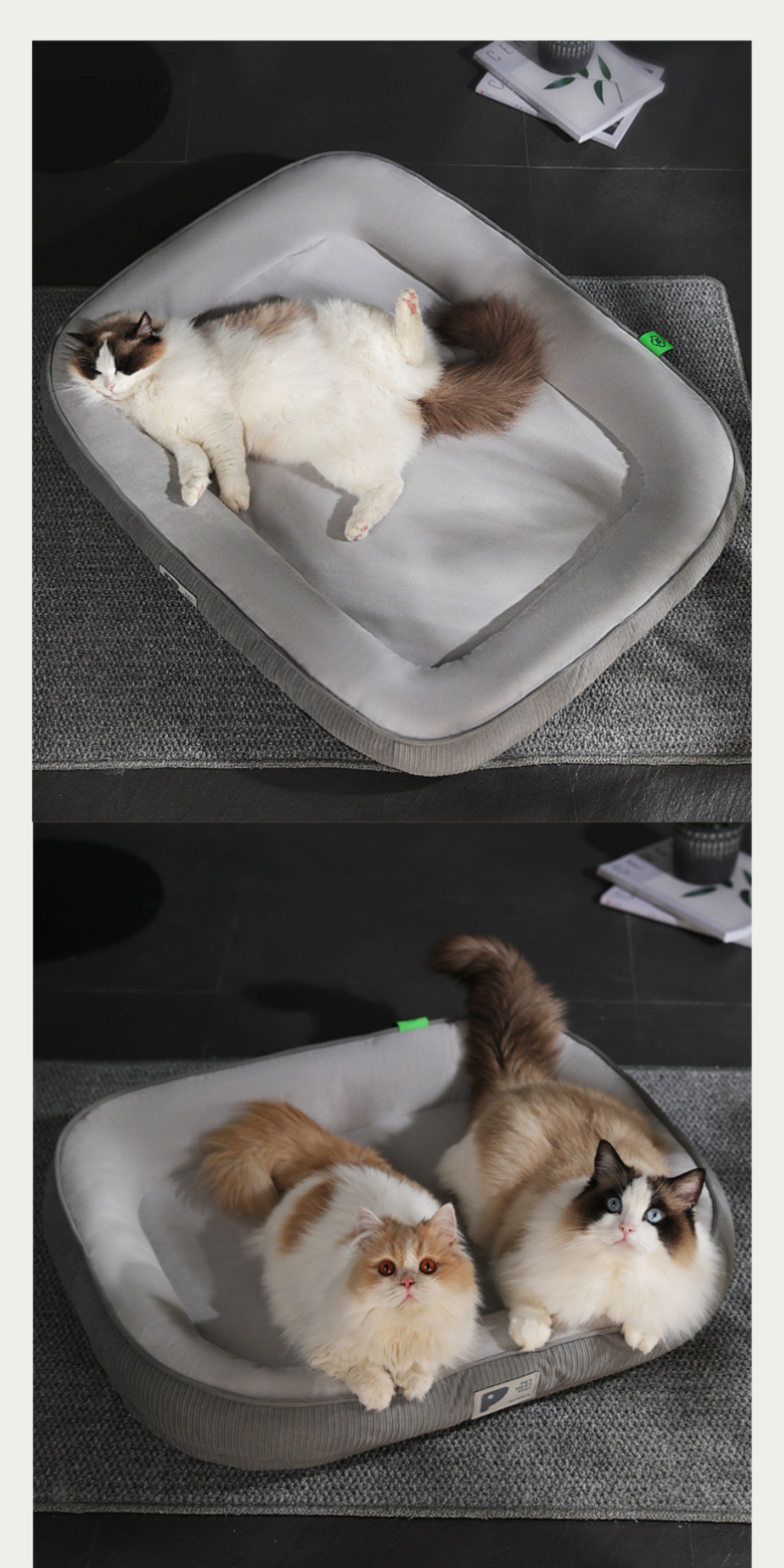 202412192200238dd20788a103551