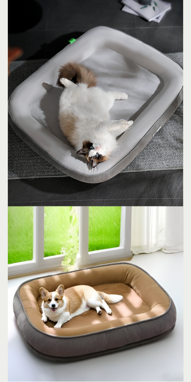 202412192200238dd20788a7bc9b4