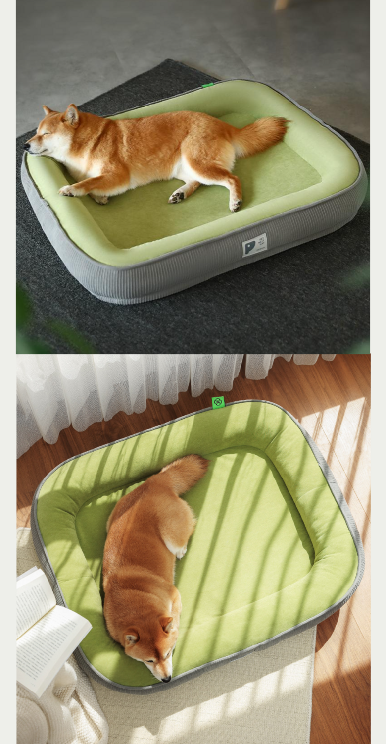 202412192200248dd20788af9f005