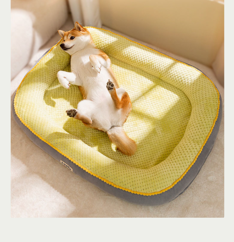 202412192200258dd20788b63d64b