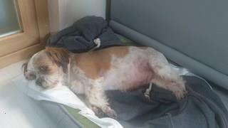 202412192200308dd20788ebc701d