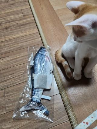 202412192301118dd208108bda1ff