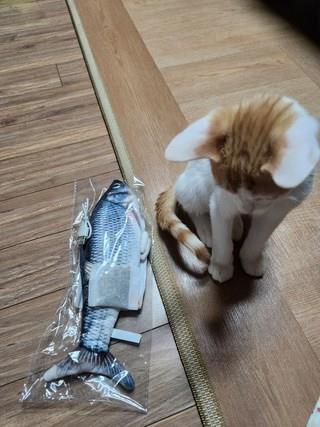 202412192301118dd208108d9077f