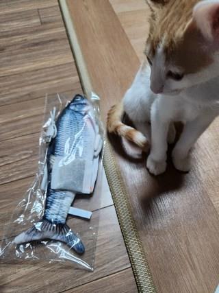 202412192301118dd208108f0c5b7