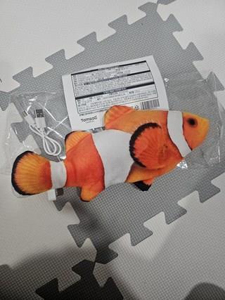 202412192301128dd2081090993e1