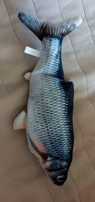 202412192301128dd20810920b82d