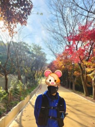 202412221154558dd227f73f50fec