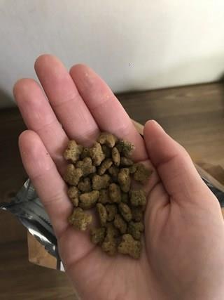 202501031234168dd2bf2f13e8998