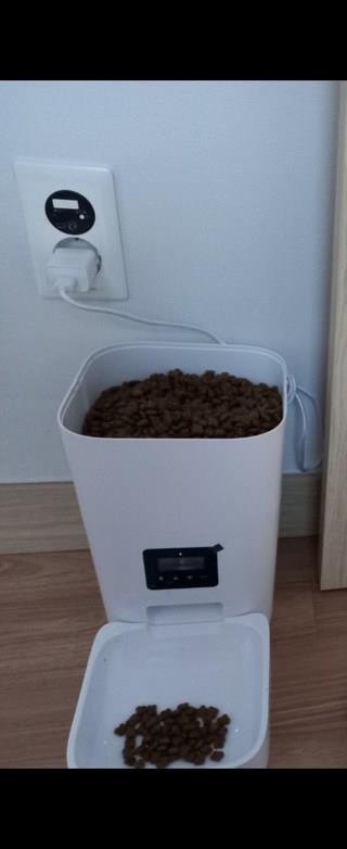 202501031234168dd2bf2f17e4e32