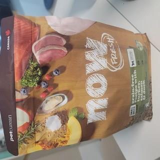 202501031234178dd2bf2f1a8c27c