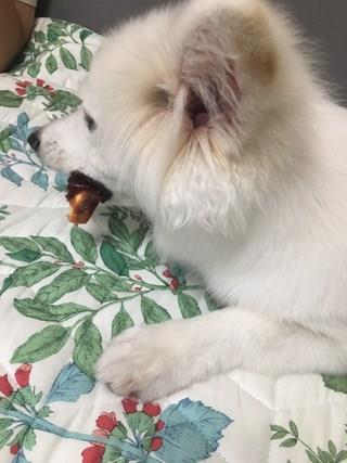 202501031435498dd2c03ec4dccef