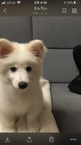 202501031435508dd2c03ec79fa81