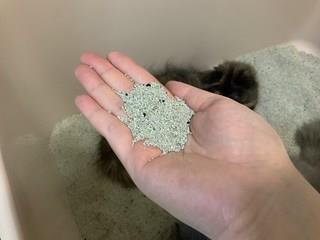 202501031536278dd2c0c647bed9e