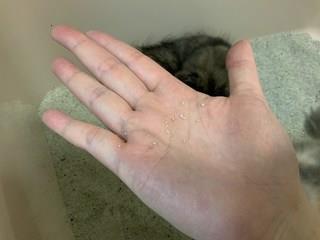 202501031536278dd2c0c6491f4c9