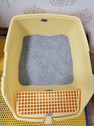 202501031536288dd2c0c65094475