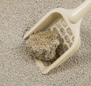 202501031637158dd2c14e2a9b551