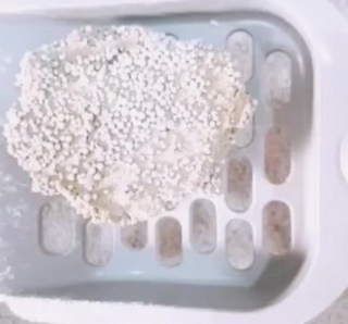 202501031637158dd2c14e326681c