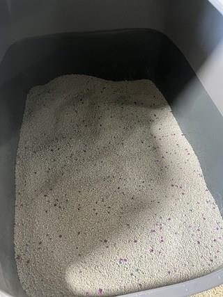 202501031637168dd2c14e376734f