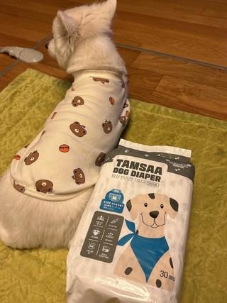 202501031738158dd2c1d68805387