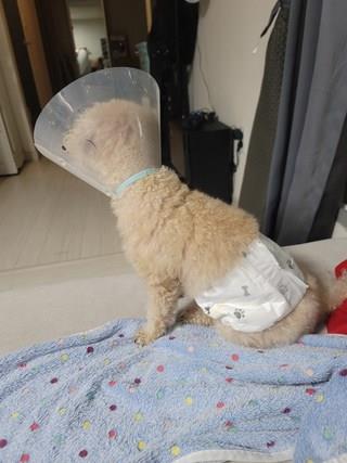 202501031738168dd2c1d69429d8d