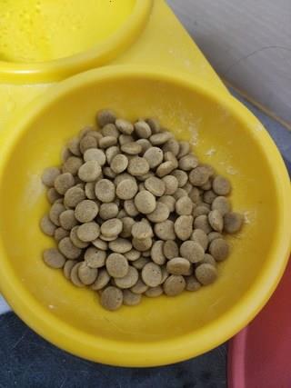 202501031838498dd2c25dea38168