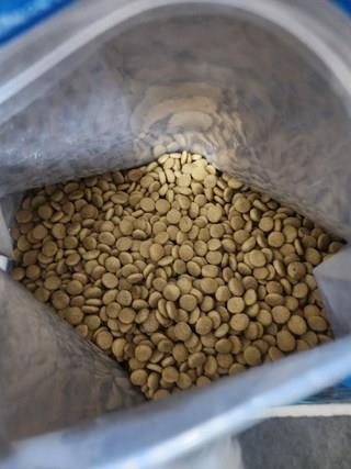 202501031838508dd2c25ded142c0