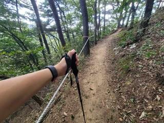 202501061420238dd2e5d43d8c684